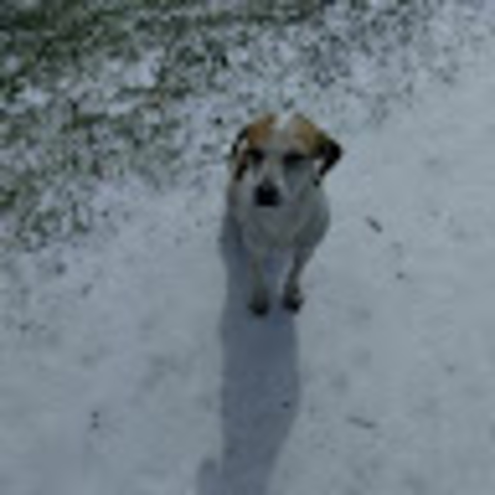 Meet your Posher, Soledad